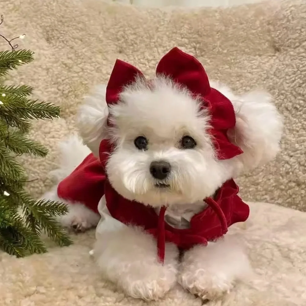 Red Velvet puppy dog Dress with Bow Christmas outfits - Picture 4 of 9